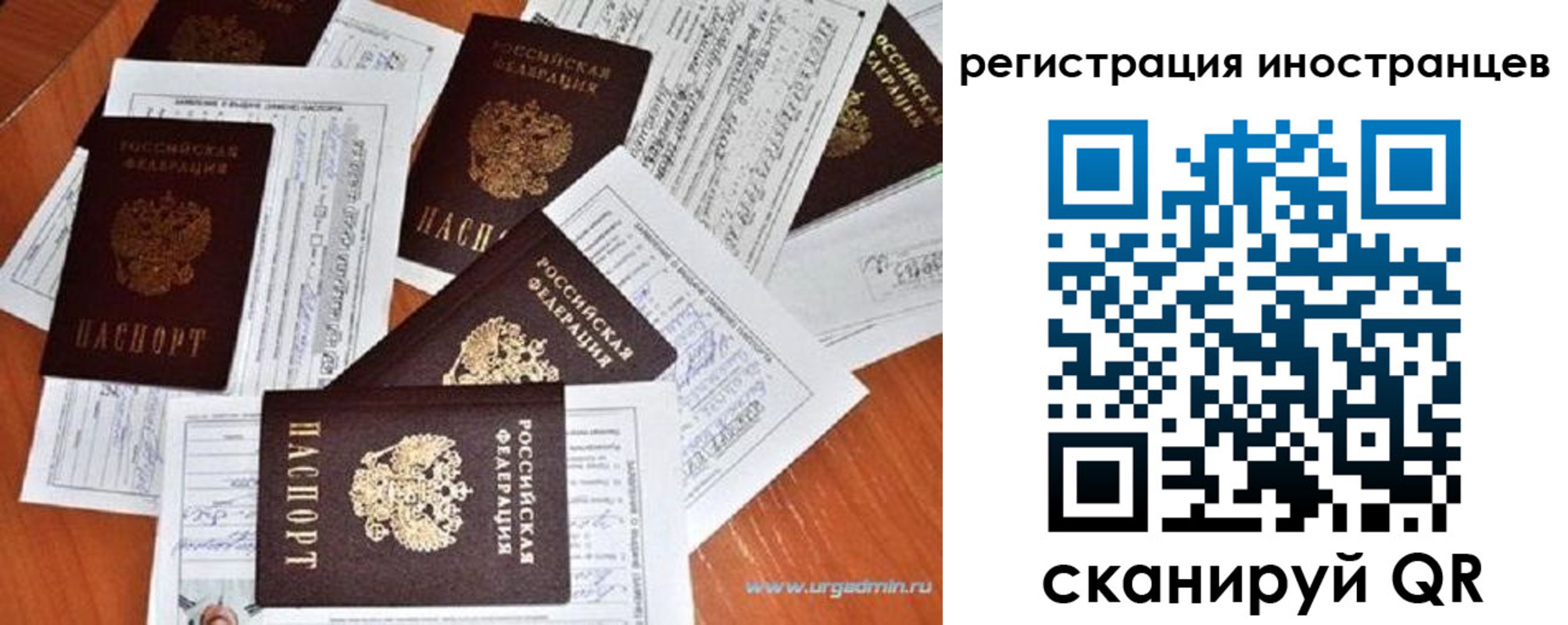 временная регистрация гарантия в Тайге